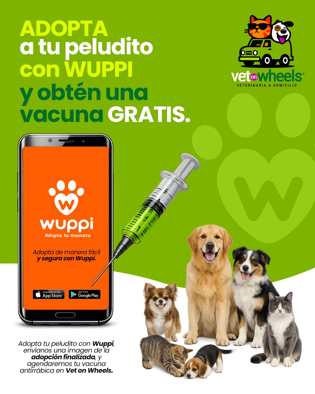 Promoción de Vet on Wheels para Wuppi